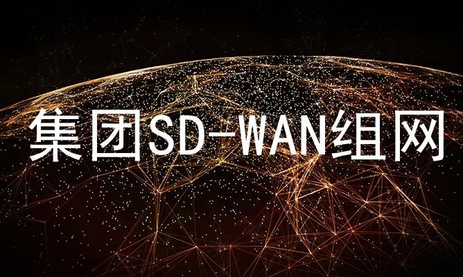 SD-WAN组网