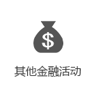 其他金融活动