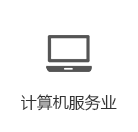 计算机服务业